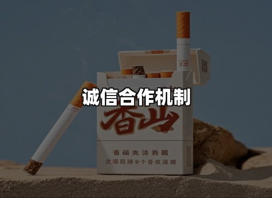 专业优势